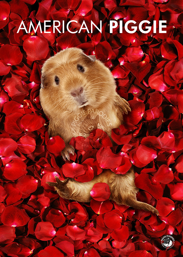 American Piggie (American Beauty parody)