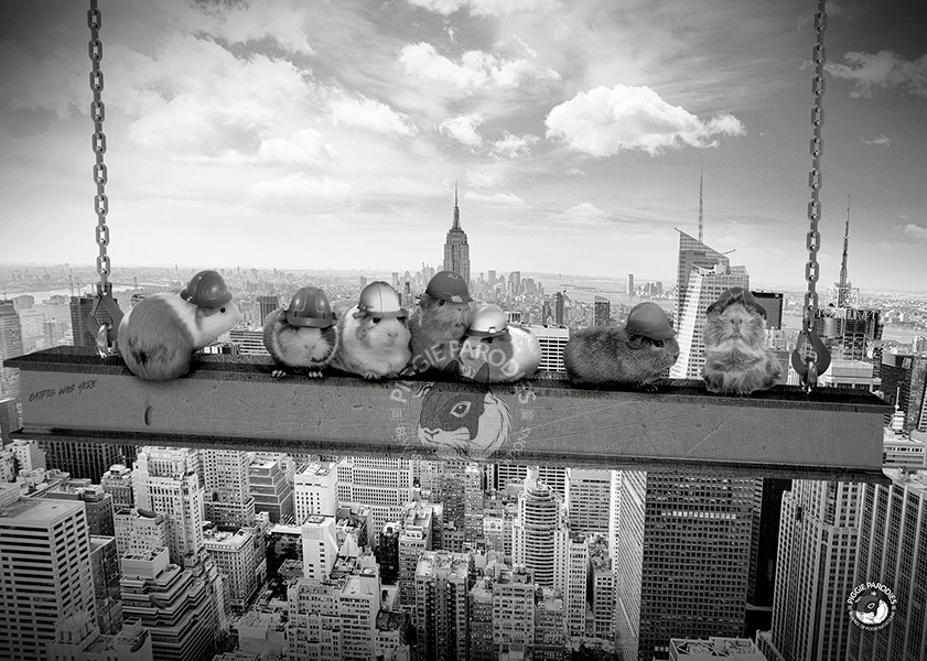 Lunch Break on a Girder (Lunch break parody)